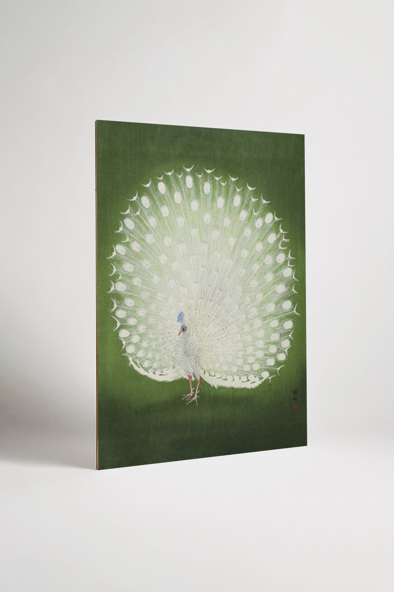 Add-on White Peacock III