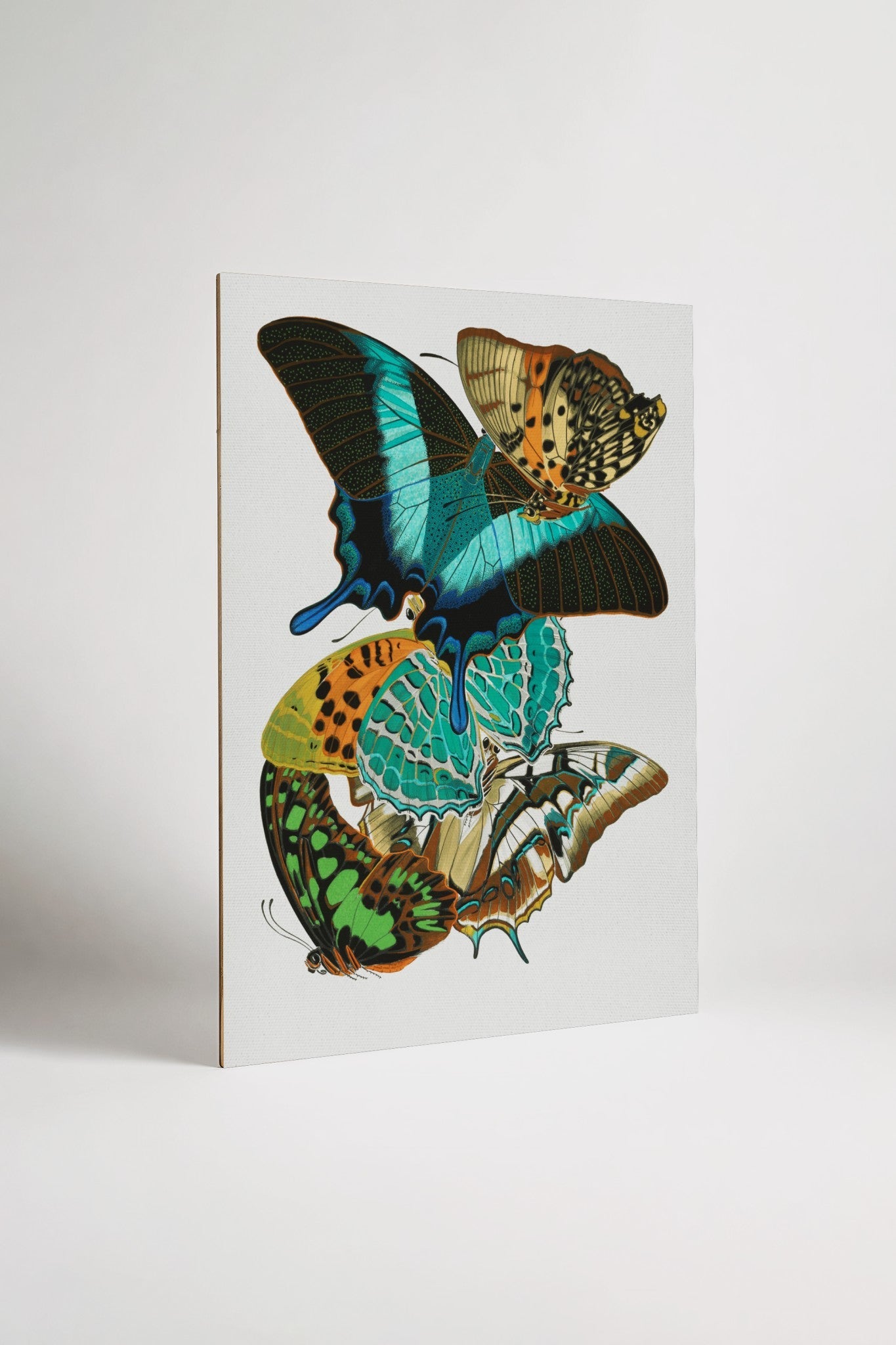 Print - Wing Study I