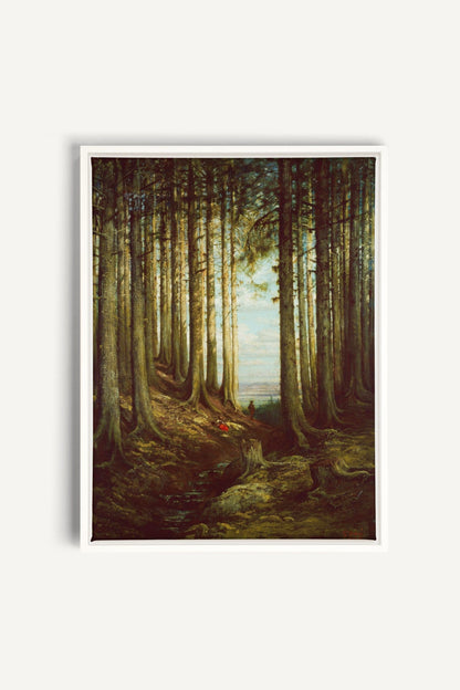 Cathedral Grove