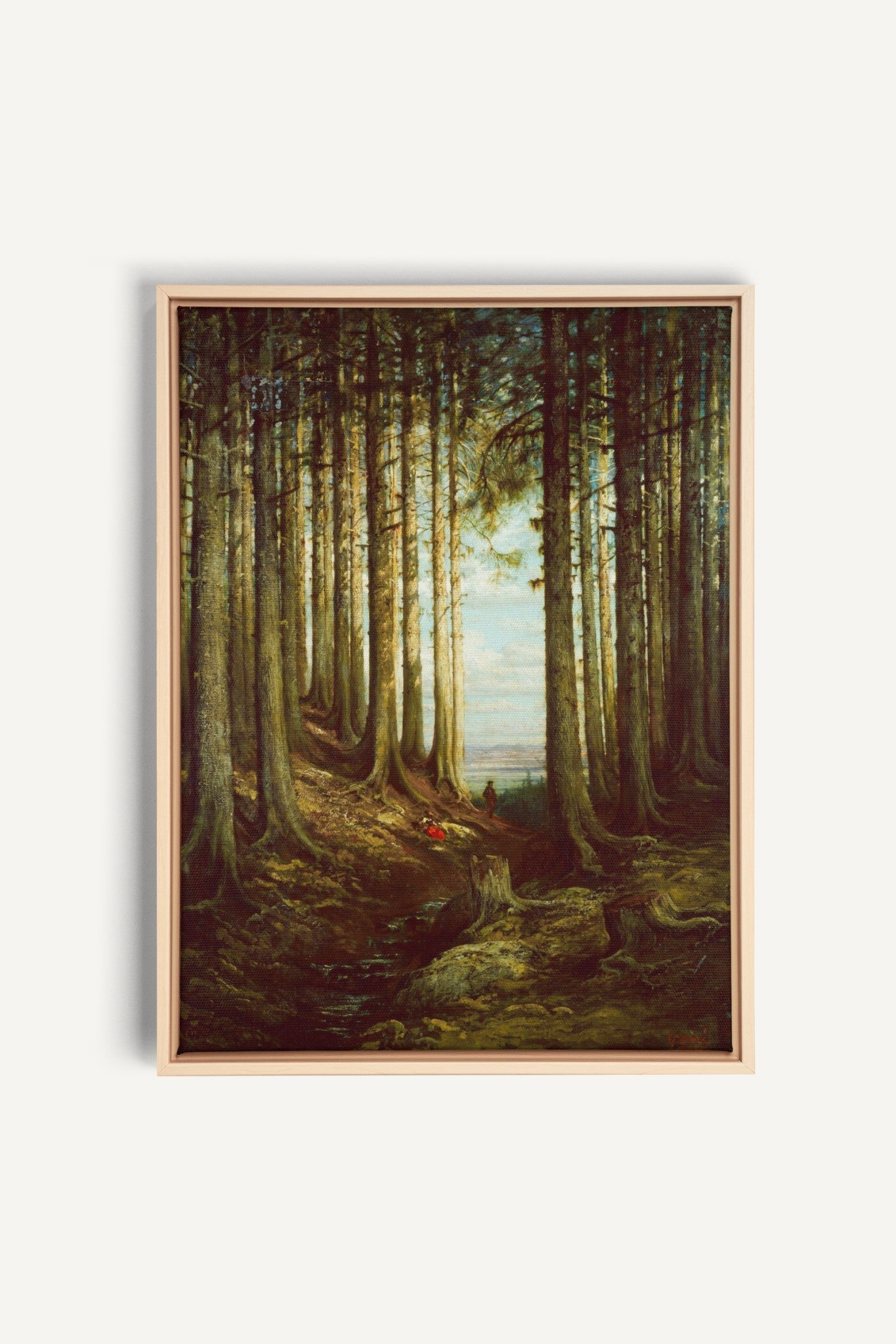Cathedral Grove