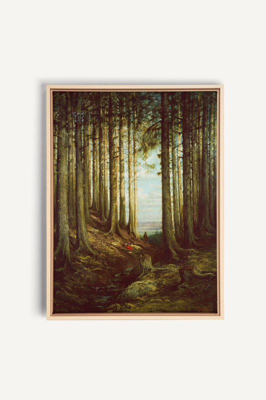 Cathedral Grove