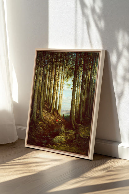 Cathedral Grove