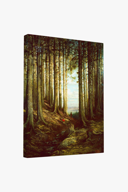 Cathedral Grove