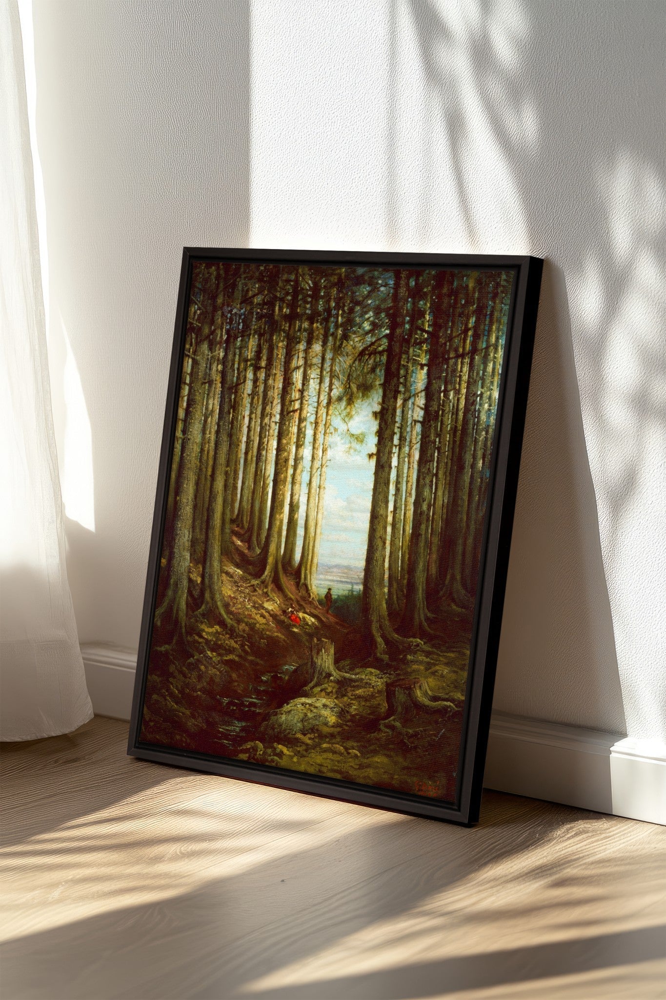 Cathedral Grove