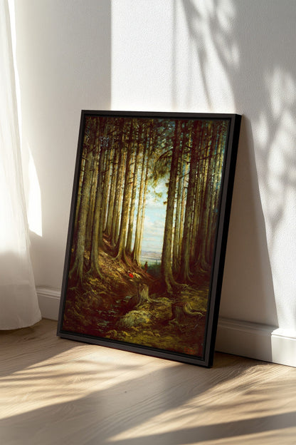 Cathedral Grove