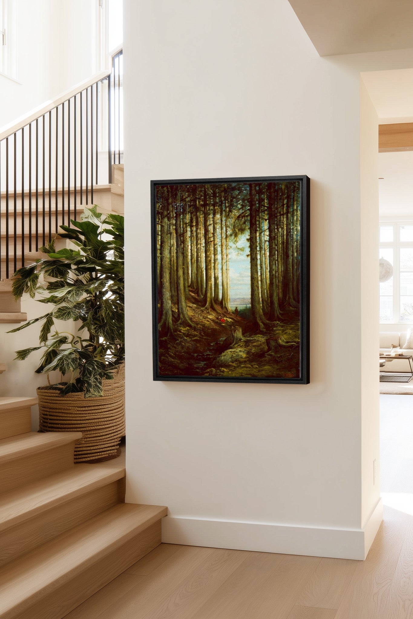 Cathedral Grove
