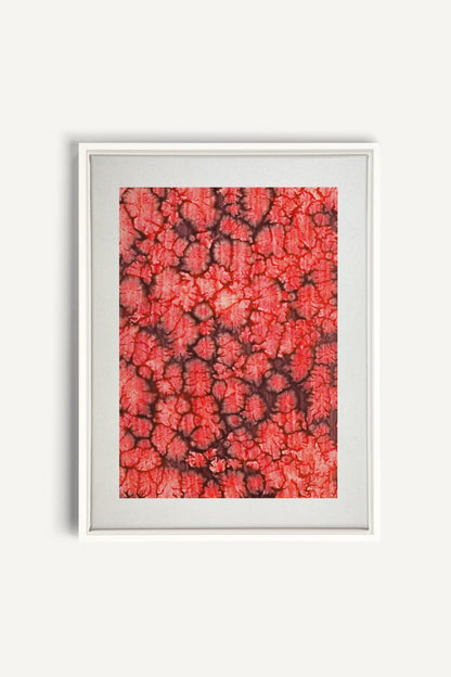 Coral Bloom