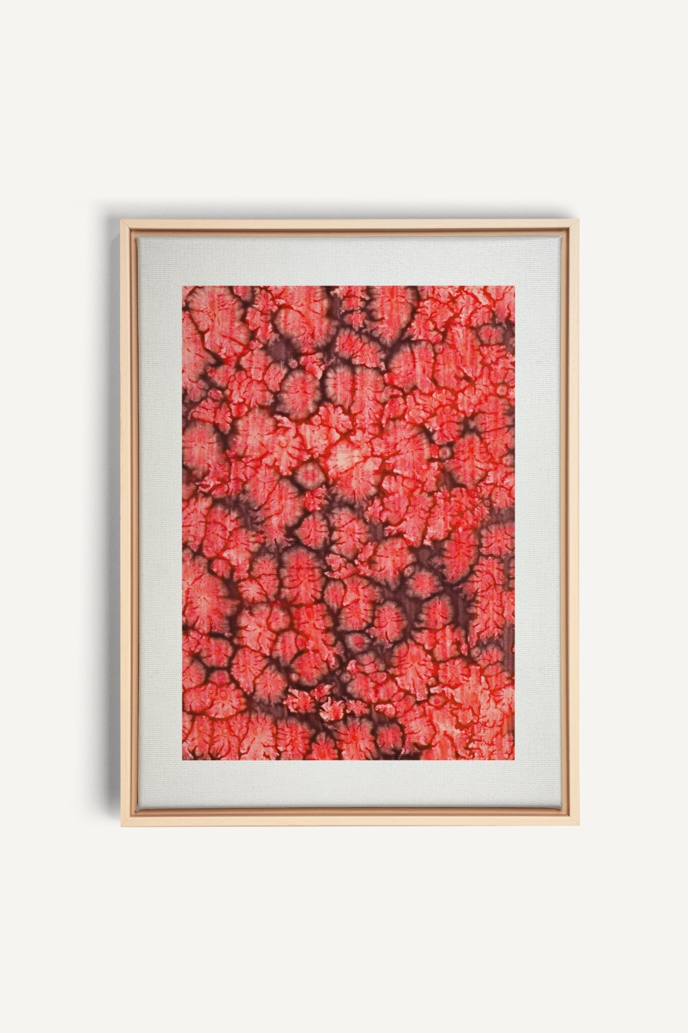 Coral Bloom
