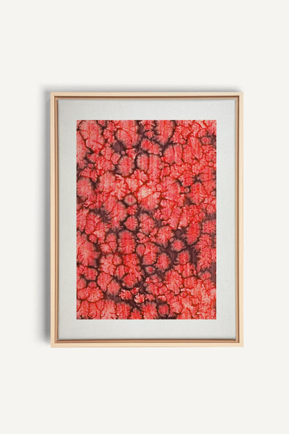 Coral Bloom