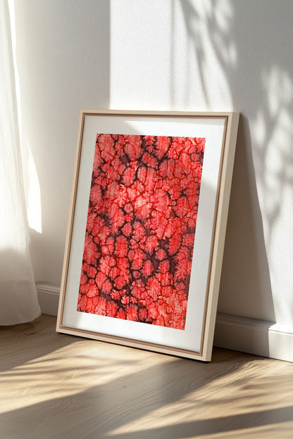 Coral Bloom