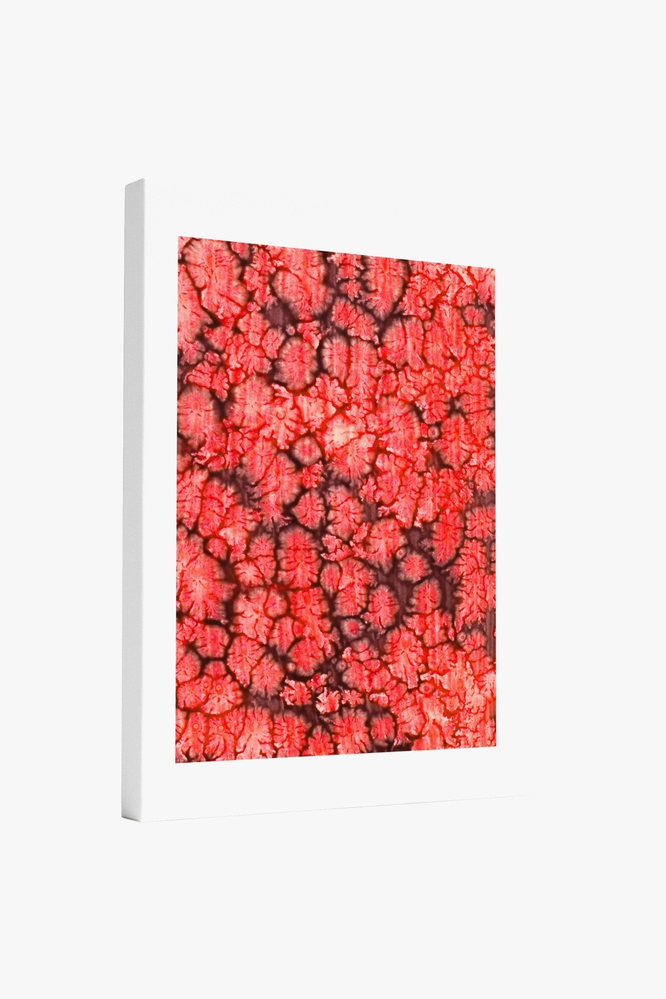 Coral Bloom