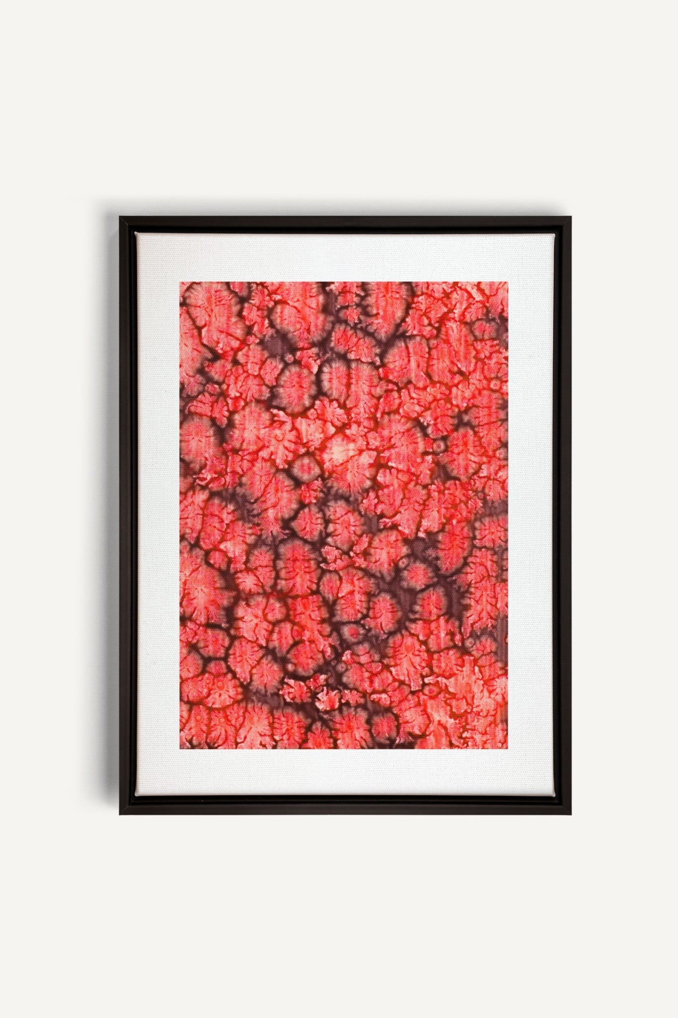 Coral Bloom