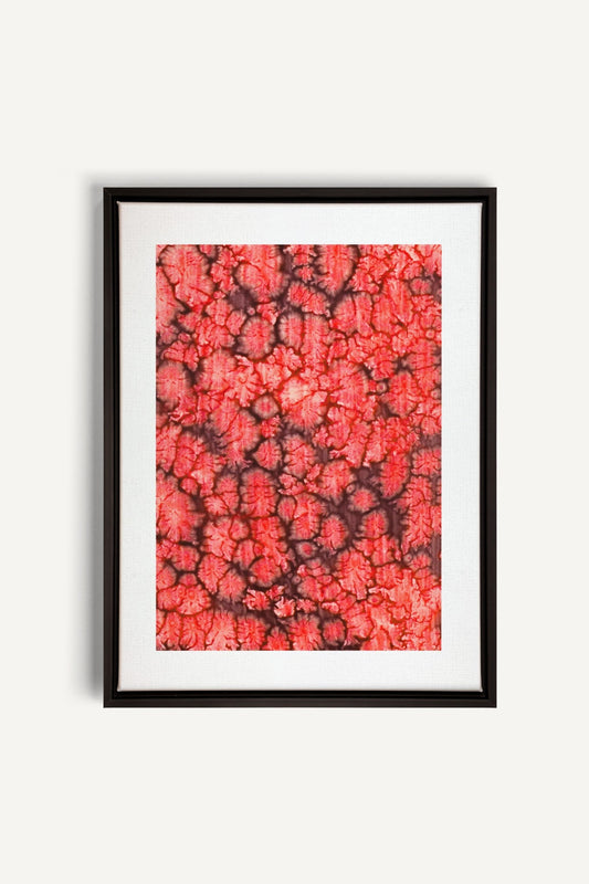 Coral Bloom