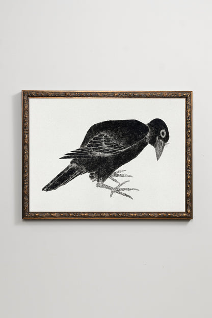 Ink Bird