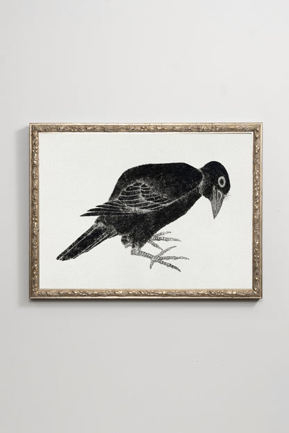 Ink Bird