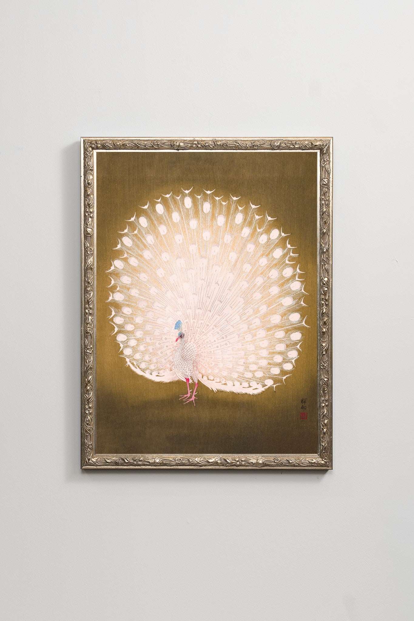 White Peacock I