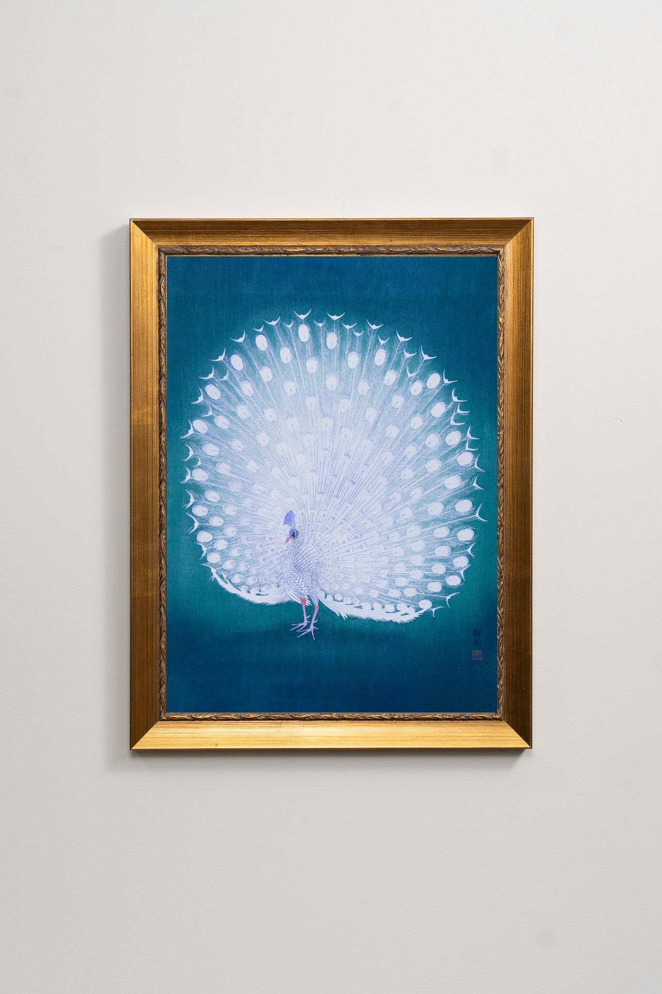 White Peacock II