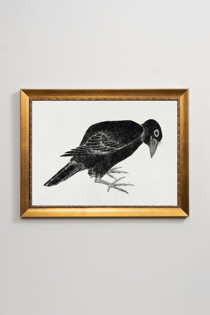 Ink Bird
