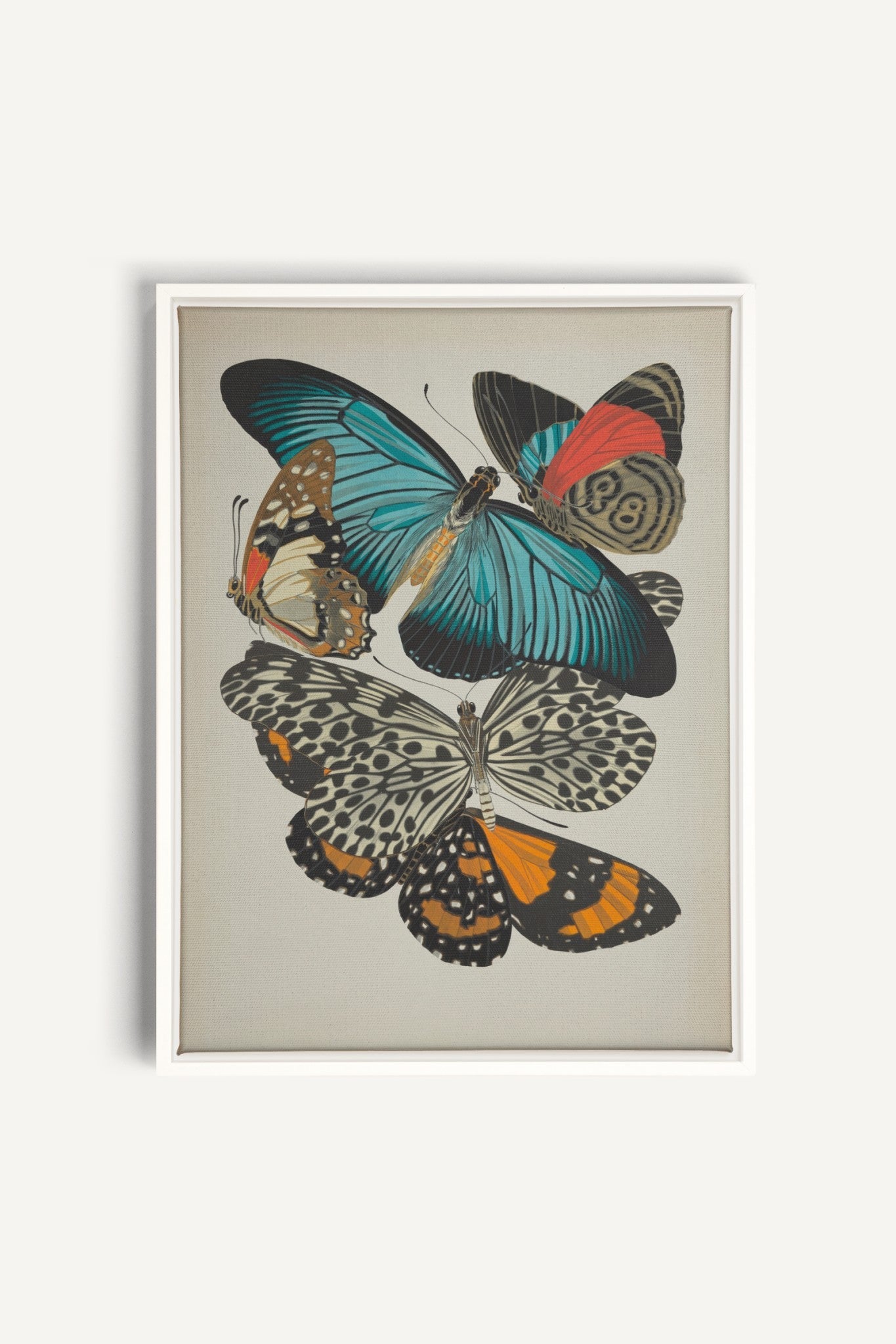 The Blue Monarch