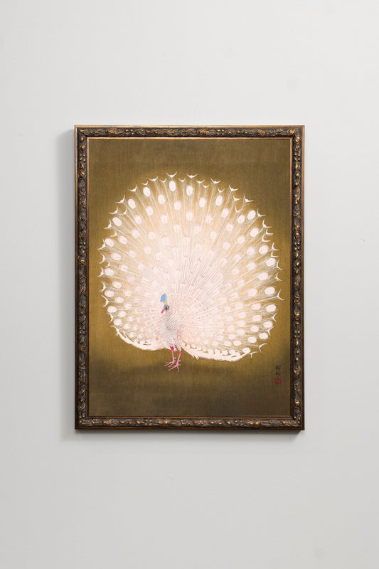 White Peacock I