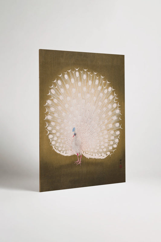Add-on White Peacock I