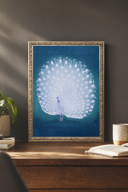 White Peacock II
