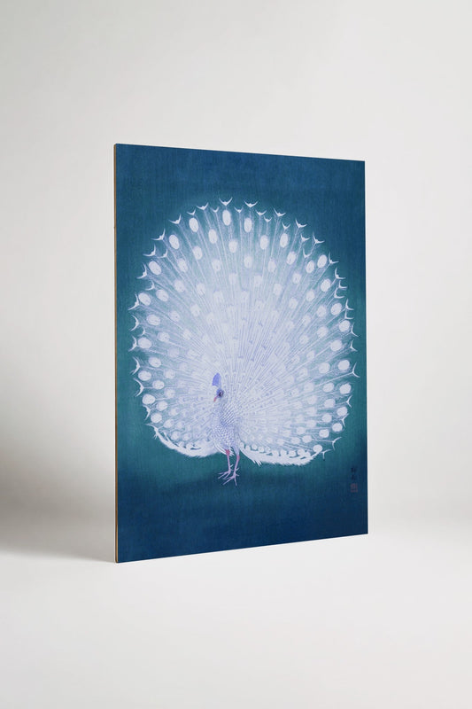 Add-on White Peacock II