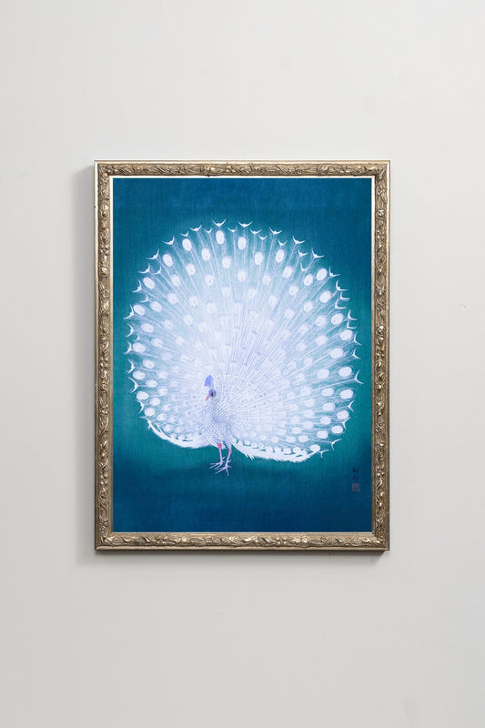 White Peacock II