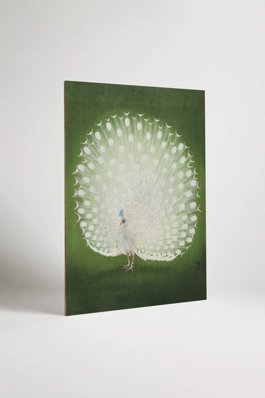 Add-on White Peacock III